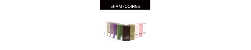 shampooing kevin Murphy